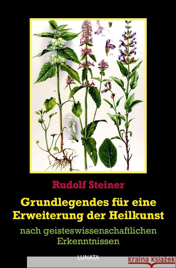 Grundlegendes zur Erweiterung der Heilkunst : nach geisteswissenschaftlichen Erkenntnissen Steiner, Rudolf 9783752943030 epubli