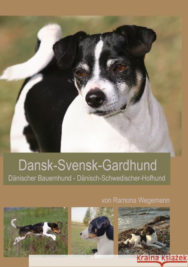 Dansk-Svensk-Gardhund - Dänisch-Schwedischer-Hofhund - Dansk-Svensk-Farmdog - Dänischer Bauernhund wegemann, ramona 9783752980127