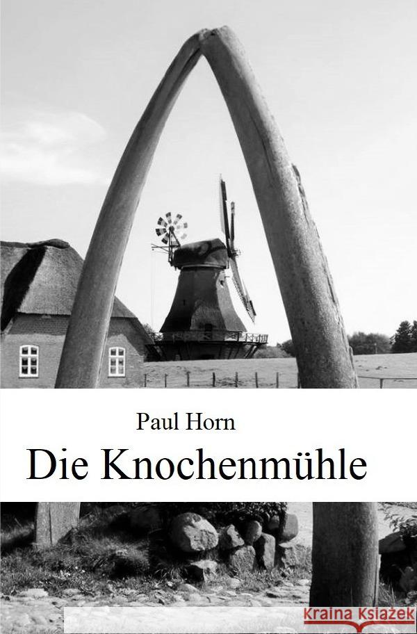 Die Knochenmühle Horn, Paul 9783752985375