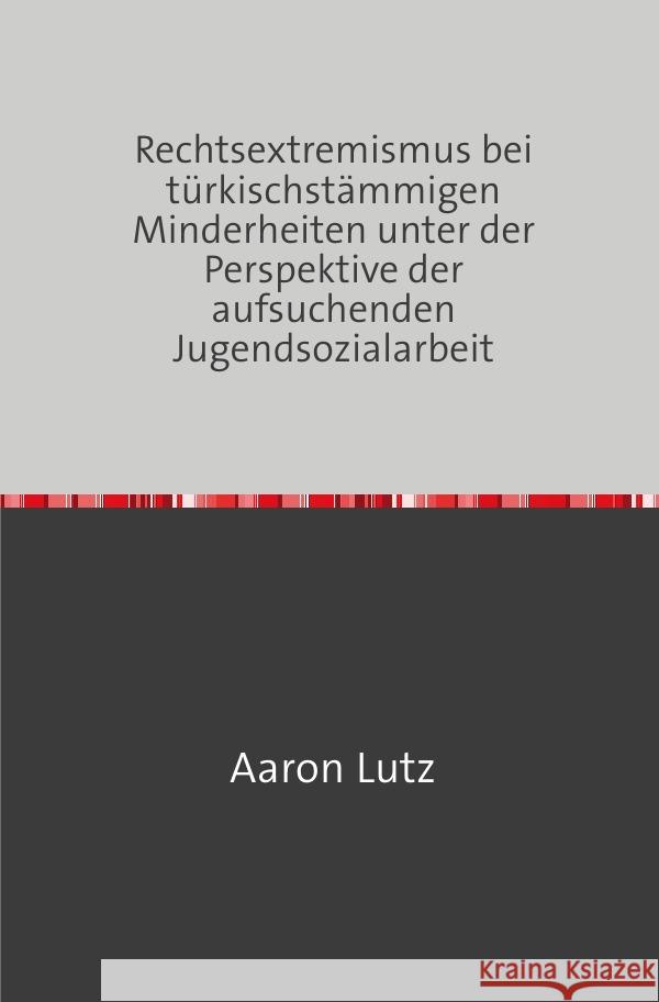 Rechtsextremismus bei türkischstämmigen Minderheiten unter der Perspektive der aufsuchenden Jugendsozialarbeit Lutz, Aaron 9783753114378