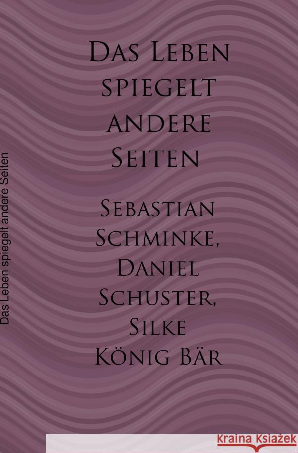 Das Leben spiegelt andere Seiten Schminke, Sebastian, Schuster, Daniel 9783753124827