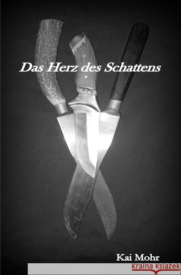 Die letzten Jahre der Magier - Das Herz des Schattens Mohr, Kai 9783753133829