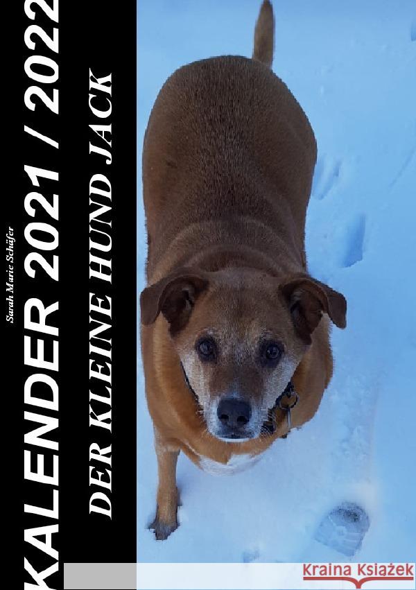 Der kleine Hund Jack - Kalender 2021 / 2022 Schäfer, Sarah 9783753166773 epubli