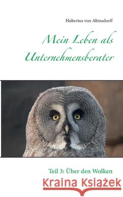 Mein Leben als Unternehmensberater: Teil 3: Über den Wolken Hubertus Von Abinsdorff 9783753402567 Books on Demand