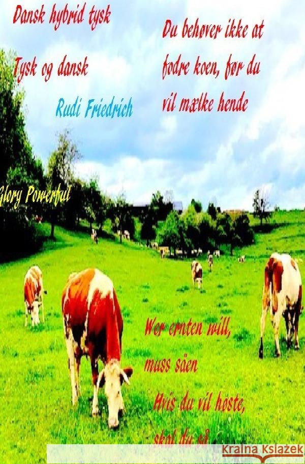 Dansk hybrid tysk Tysk og dansk. Deutsch und dänisch  Wer ernten will, muss säen language Friedrich, Rudi 9783754121597 epubli