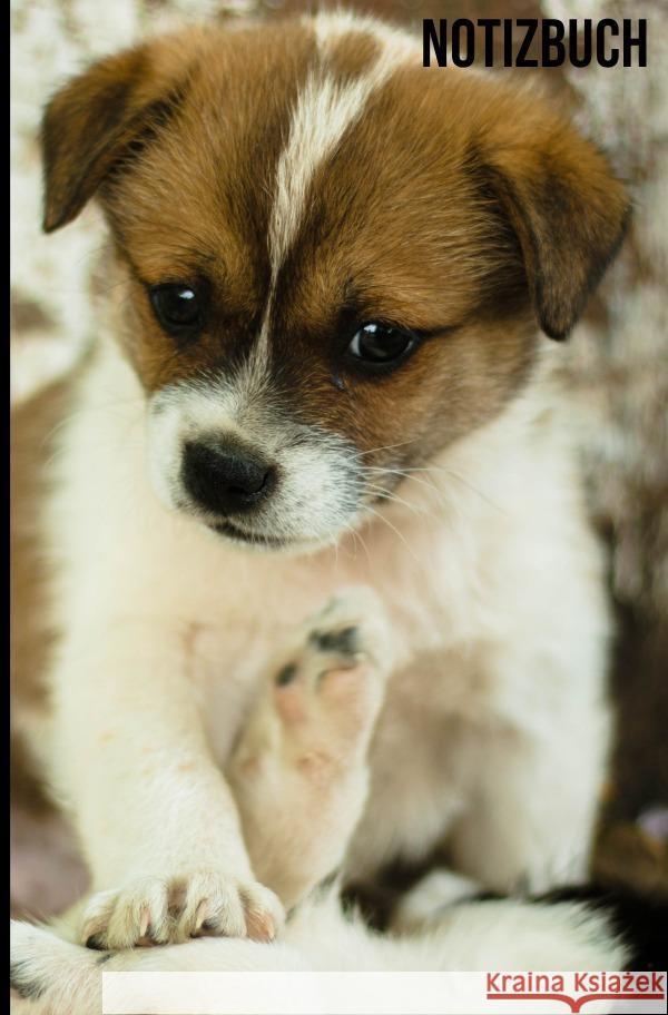 Kariertes Notizbuch 6x9 Hundemotiv Salzgitter, Print & Lettershop 9783754128947 epubli