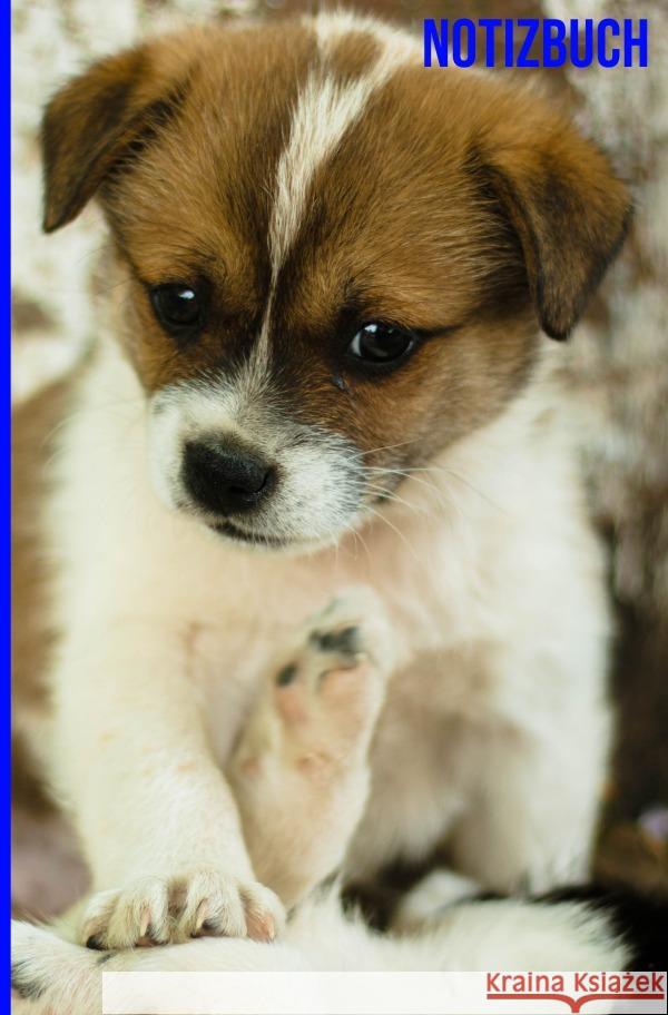 Kariertes Notizbuch 6x9 Hundemotiv Salzgitter, Print & Lettershop 9783754128961 epubli