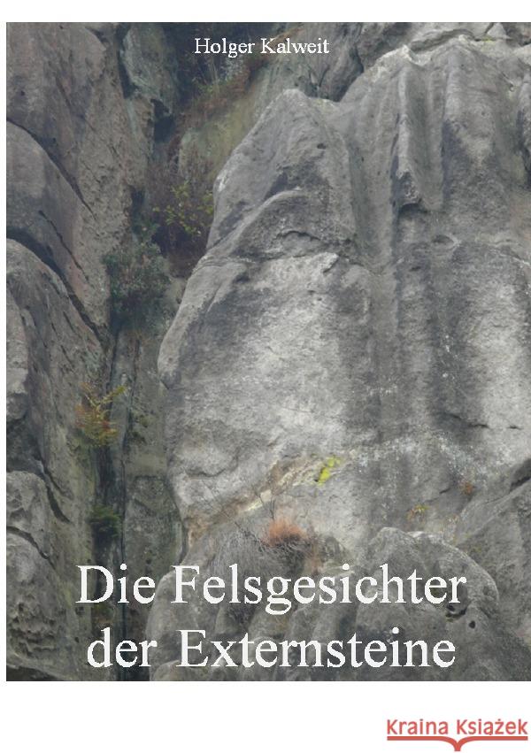 Die Felsgesichter der Externsteine Kalweit, Holger 9783754136454