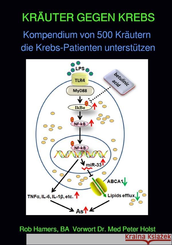 KRÄUTER GEGEN KREBS Hamers, Rob 9783754145722