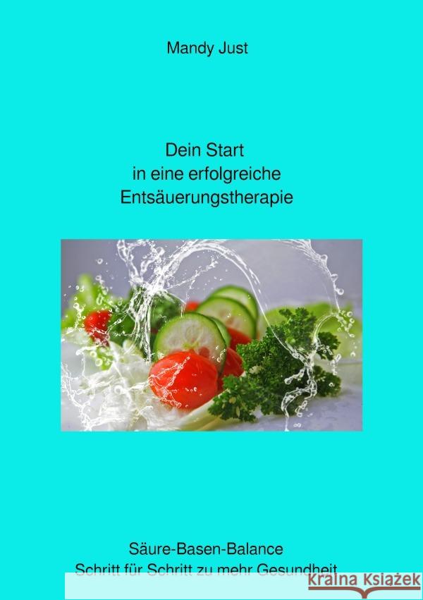 Dein Start in eine erfolgreiche Entsäuerungstherapie Just, Mandy 9783754166031