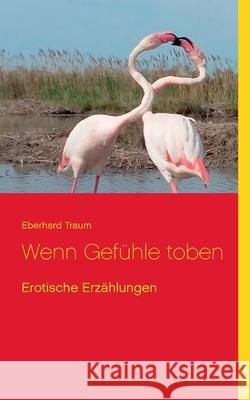 Wenn Gefühle toben: Erotische Erzählungen Traum, Eberhard 9783754307328