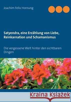 Satyendra, eine Erzählung von Liebe, Reinkarnation und Schamanismus: Die vergessene Welt hinter den sichtbaren Dingen Joachim Felix Hornung 9783754324097 Books on Demand