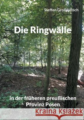 Die Ringwälle: in der früheren preußischen Provinz Posen Großpietsch, Steffen 9783754347737 Books on Demand