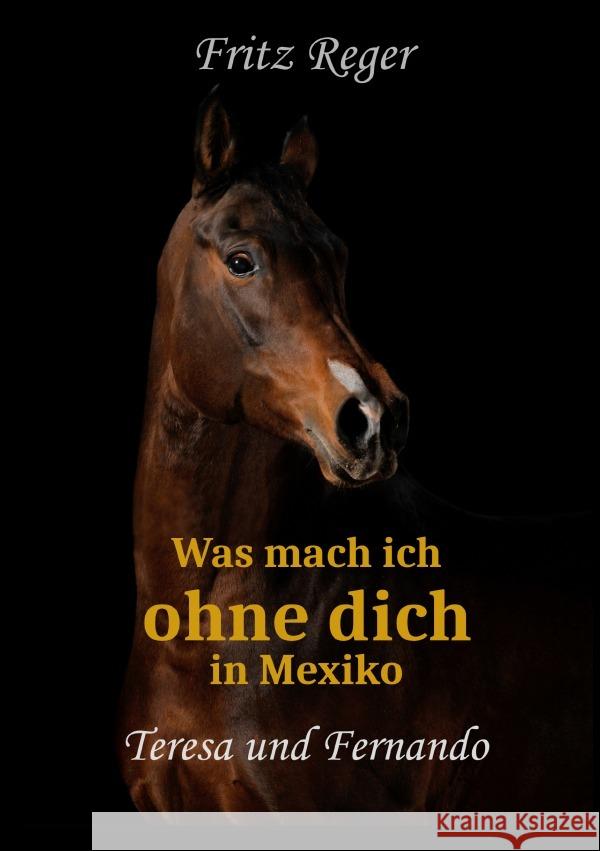 Was mach ich ohne Dich in Mexiko Reger, Fritz 9783754901212 epubli