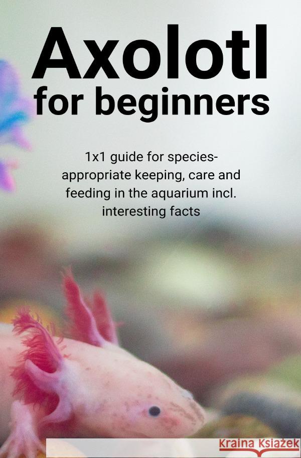 Axolotl for beginners Hawk, Thorsten 9783754939192