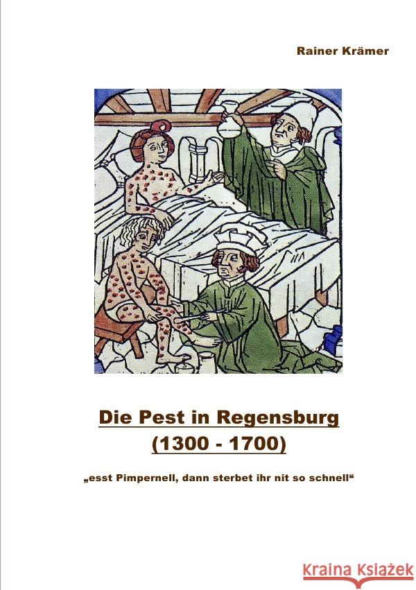 Die Pest in Regensburg  (1300 - 1700) Krämer, Rainer 9783754957080