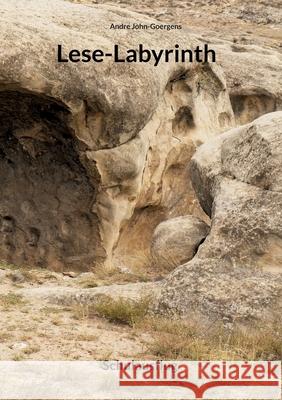 Lese-Labyrinth: Schulausflug Andre John-Goergens 9783755710202