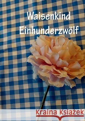 Waisenkind Einhundertzwölf Stutz, Christine 9783755742562 Books on Demand