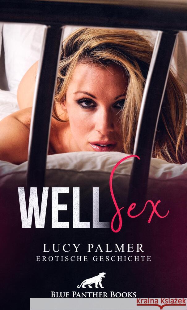 WellSex | Erotische Geschichte Palmer, Lucy 9783756147199