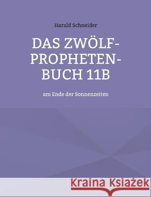 Das Zwölf-Propheten-Buch 11b: am Ende der Sonnenzeiten Harald Schneider 9783756228812 Books on Demand