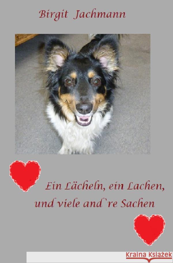 Ein Lächeln, ein Lachen und viele andre Sachen Jachmann, Birgit 9783756527830 epubli