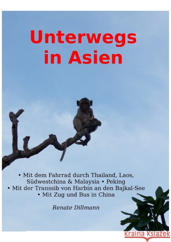 Unterwegs in Asien Dr. Dillmann, Renate 9783756528691