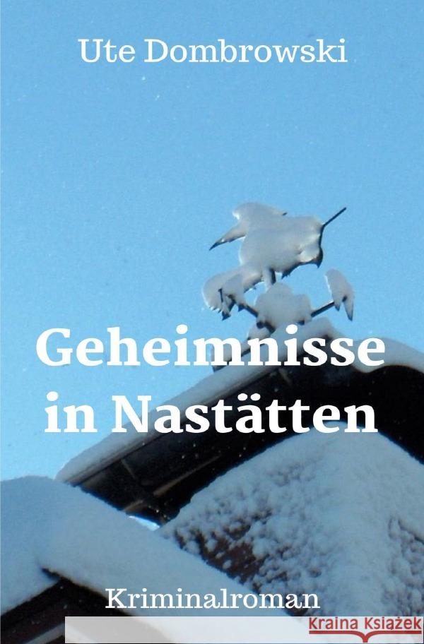 Geheimnisse in Nastätten Dombrowski, Ute 9783756547791