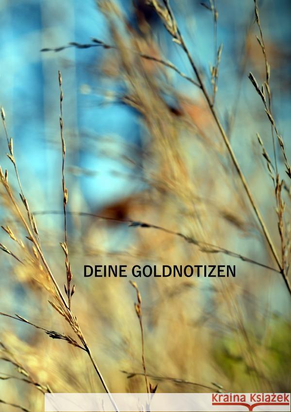Deine Goldnotizen Damberger, Marco 9783756551880 epubli
