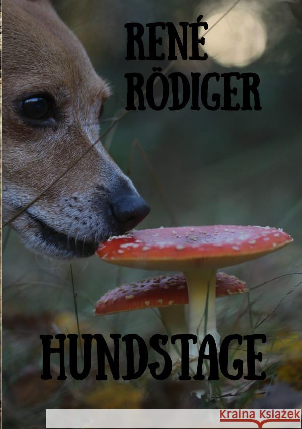 Hundstage Rödiger, René 9783756554812