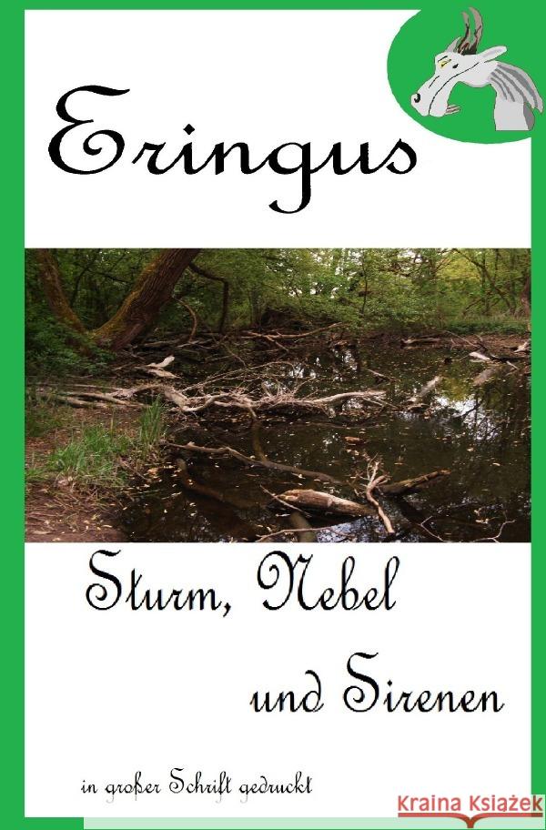 Eringus - Sturm, Nebel und Sirenen Seuring, Rainer 9783756557561