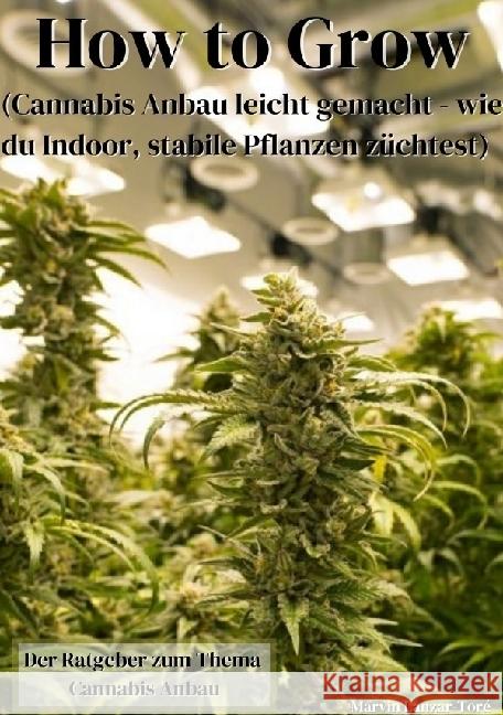 How to Grow Lanzar-Tore, Marvin 9783757520564