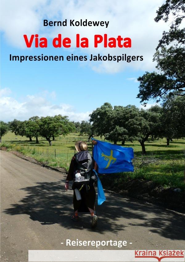 Via de la Plata - Impressionen eines Jakobspilgers Koldewey, Bernd 9783757526702