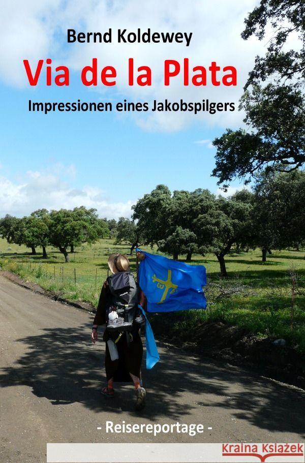 Via de la Plata - Impressionen eines Jakobspilgers Koldewey, Bernd 9783757531461