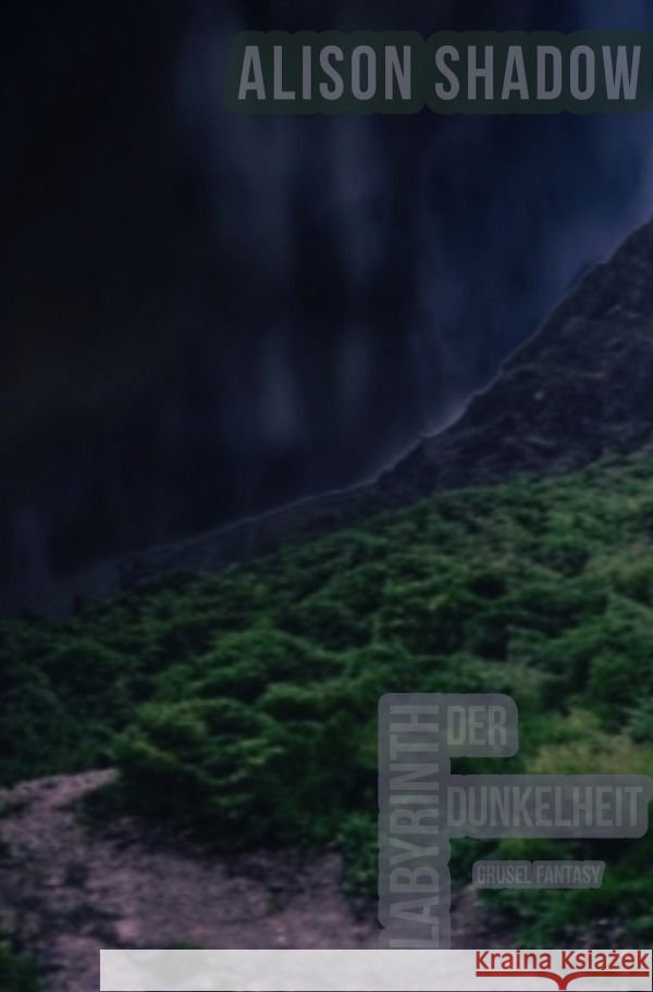 Labyrinth der Dunkelheit Mittelbach, Michael 9783758409929