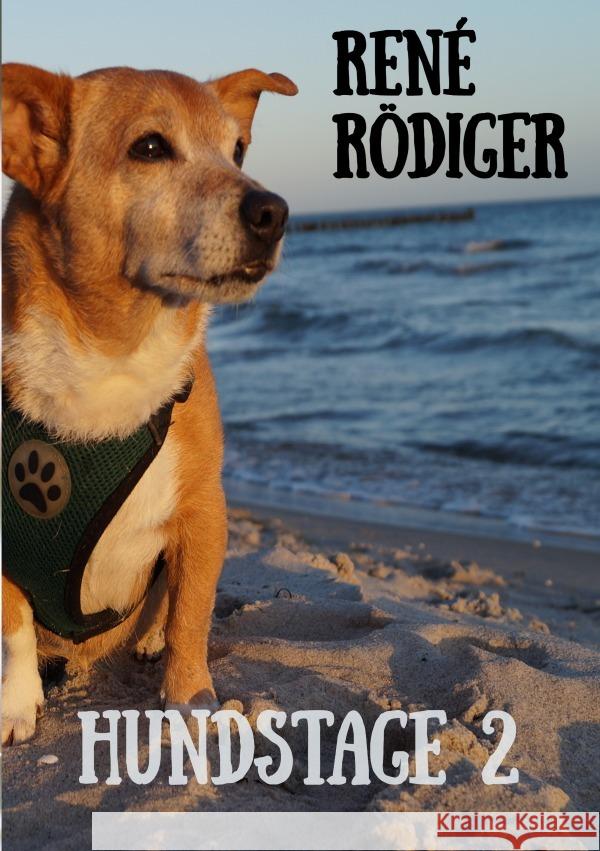 Hundstage 2 Rödiger, René 9783758419386