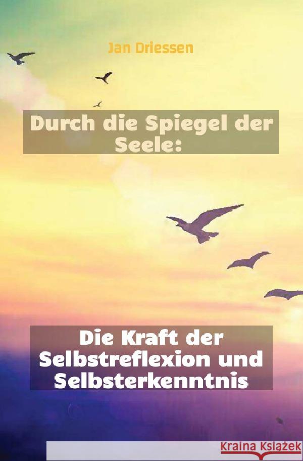 Durch die Spiegel der Seele: Die Kraft der Selbstreflexion und Selbsterkenntnis Driessen, Jan 9783758429262