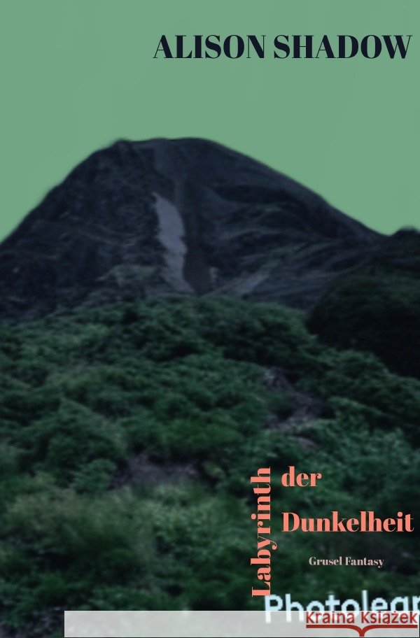 Labyrinth der Dunkelheit Mittelbach, Michael 9783758440229