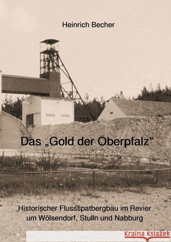 Das Gold der Oberpfalz Becher, Heinrich 9783758462702