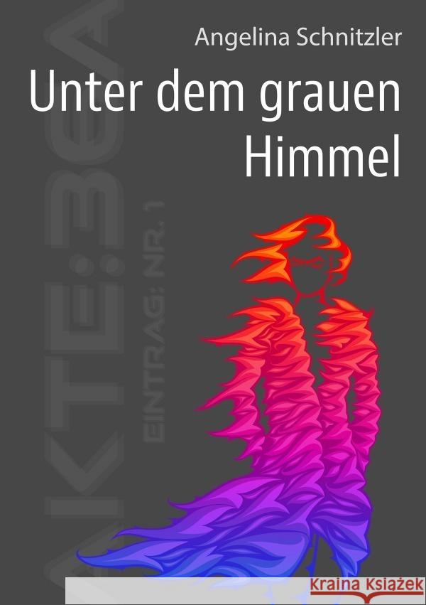 Unter dem grauen Himmel Schnitzler, Angelina 9783758472893