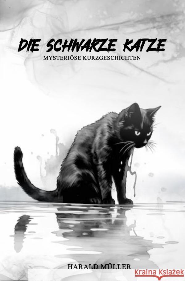 Die schwarze Katze - Mysteriöse Kurzgeschichten Müller, Harald 9783758476303