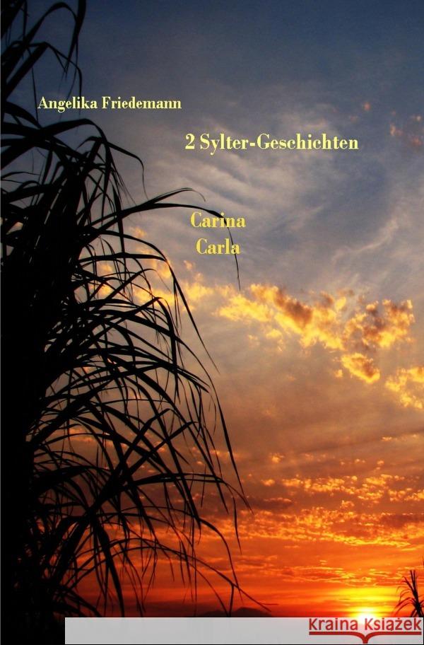 Zwei Sylter-Geschichten Friedemann, Angelika 9783758488085