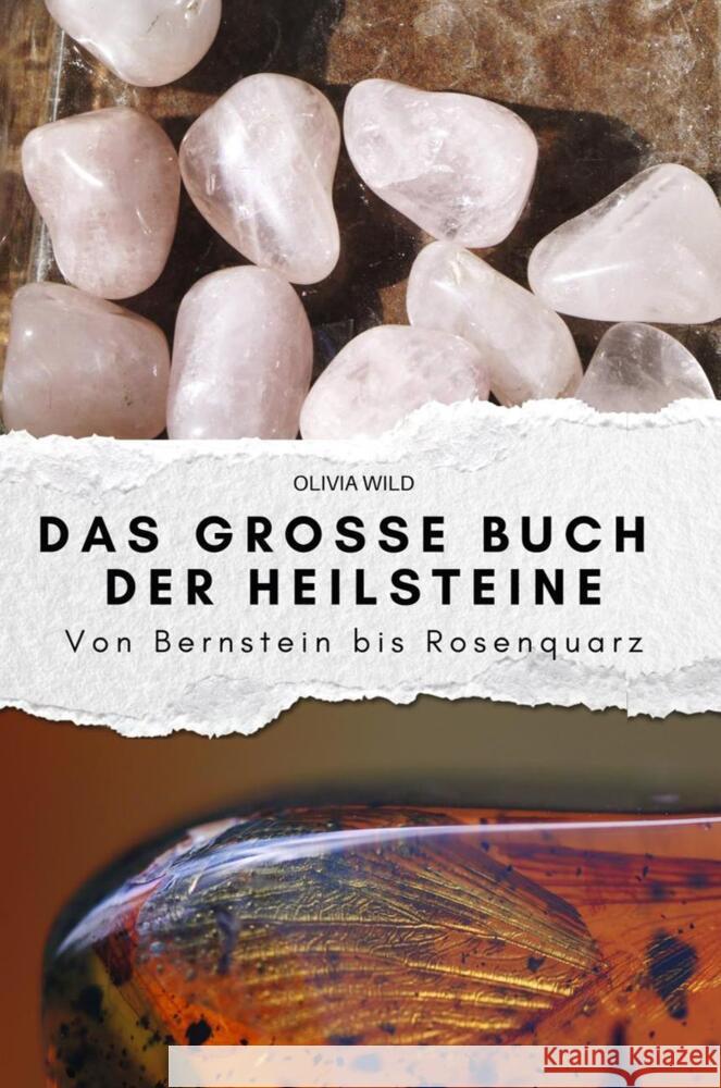 Das große Buch der Heilsteine Fuchs, Lina 9783759151100