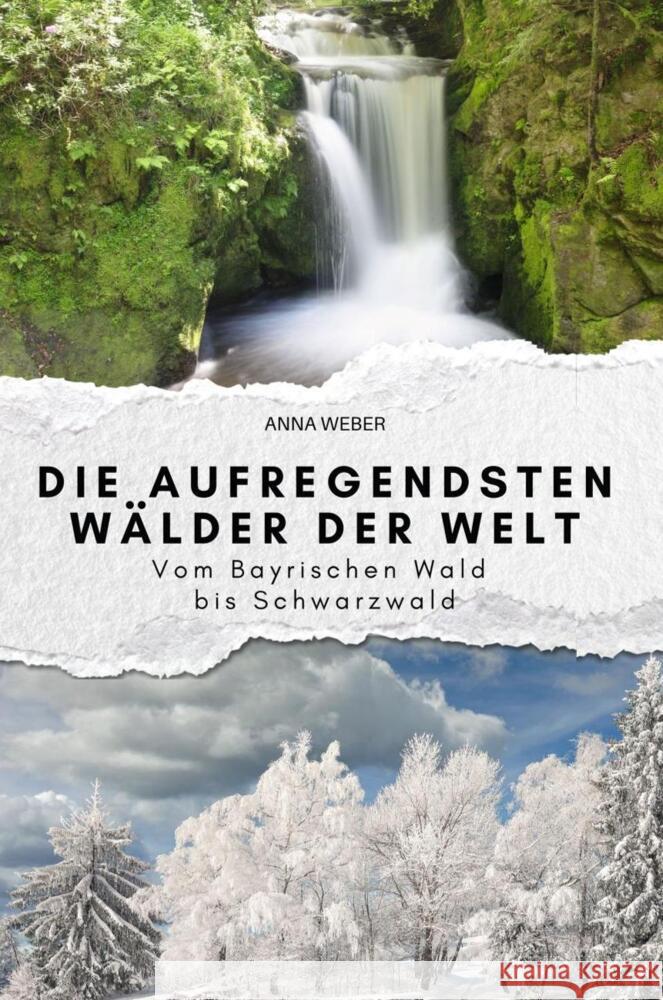 Die aufregendsten Wälder der Welt Weber, Anna 9783759160744