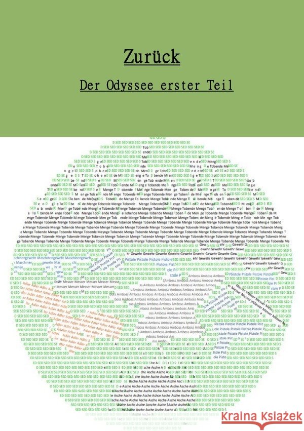 Zurück - Der Odyssee erster Teil Lauterjung, Pascal 9783759801098