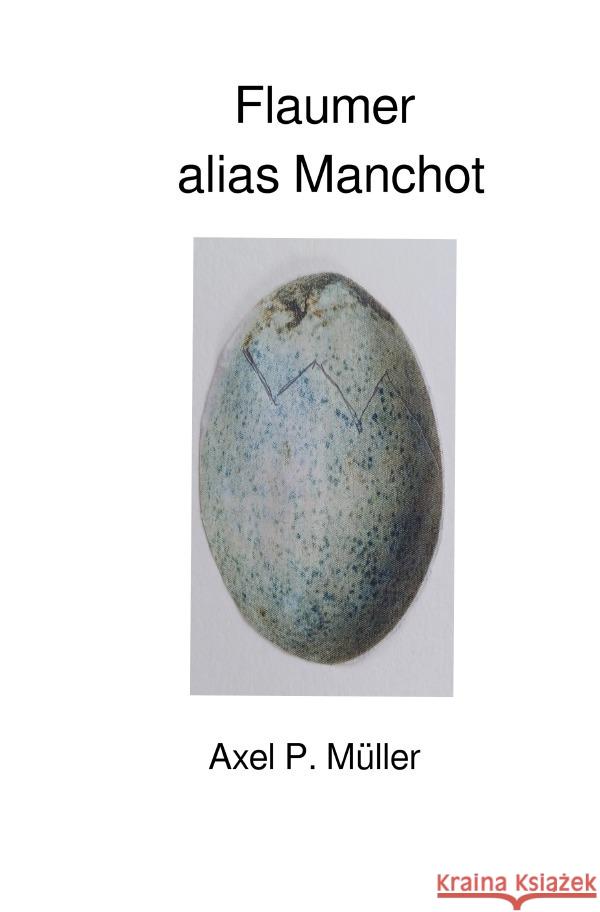 Flaumer alias Manchot Müller, Axel P. 9783759801975