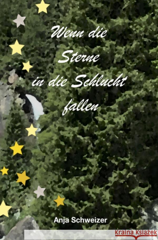 Wenn die Sterne in die Schlucht fallen Schweizer, Anja 9783759820228