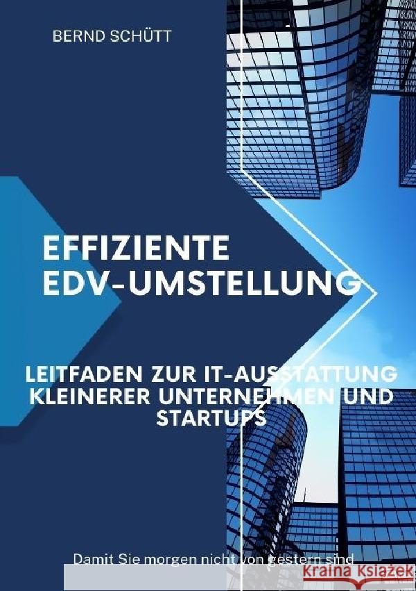 Effiziente EDV-Umstellung Schütt, Bernd 9783759876249