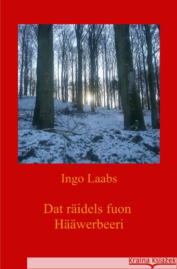 Dat räidels fuon Hääwerbeeri - Das Rätsel von Haferberg Laabs, Ingo 9783759897428