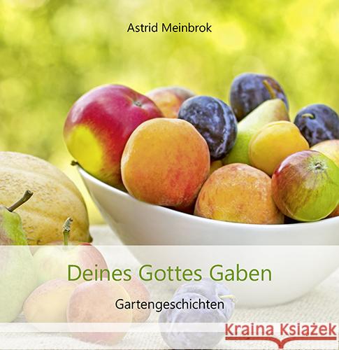 Deines Gottes Gaben Meinbrok, Astrid 9783760003061 Agentur des Rauhen Hauses