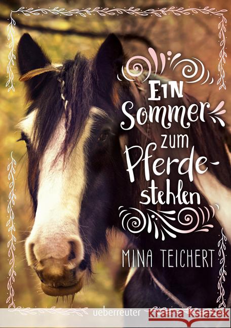 Ein Sommer zum Pferdestehlen Teichert, Mina 9783764151423